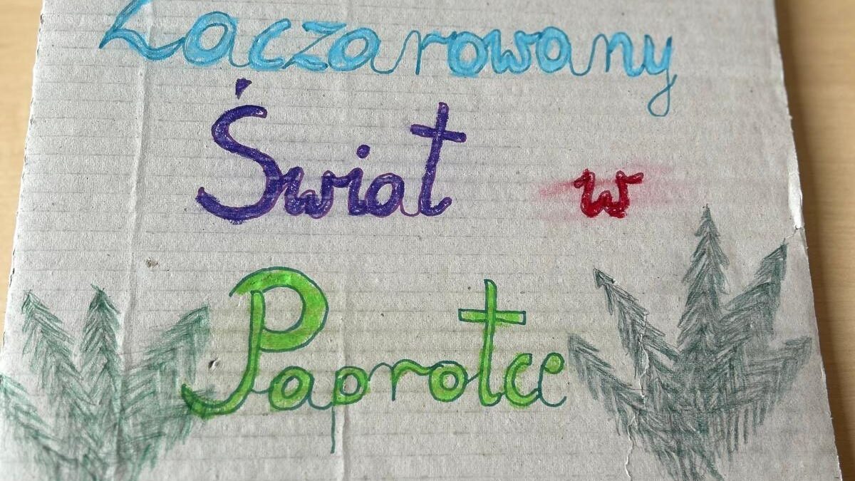najlepsze przedszkole w Opolu przedszkole opole zlobek opole paprotka opole